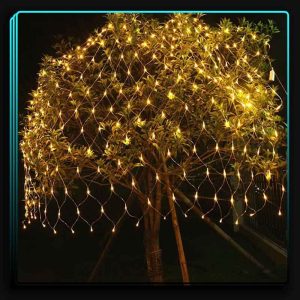 ریسه توری رو درخت