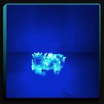 ریسه سوزنی آبی