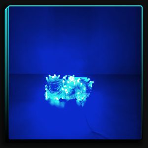 ریسه سوزنی آبی