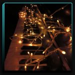 ریسه سوزنی انبه ای