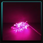 ریسه سوزنی صورتی