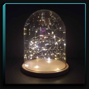 شیشه نیم گوی بلند ریسه نچرال