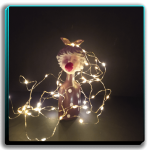 دختر بادکنکی ریسه آفتابی