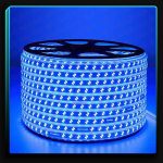 ریسه دولاین آبی