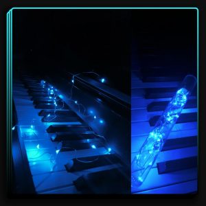 ریسه مفتولی در بطری آبی