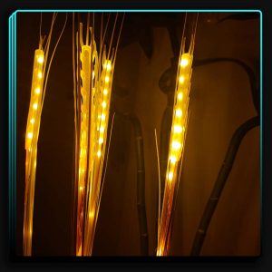 ریسه گندمی2