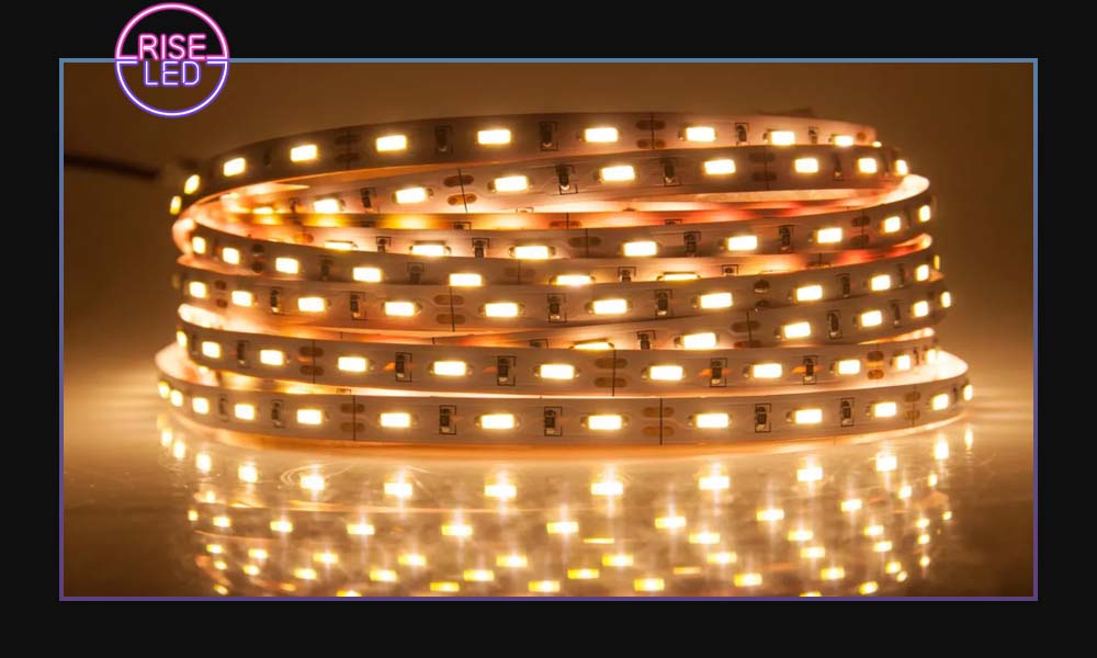 ریسه آفتابی