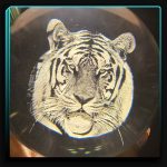 گوی شیشه ای ببر