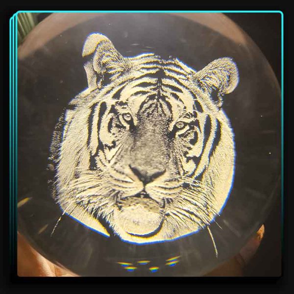 گوی شیشه ای ببر