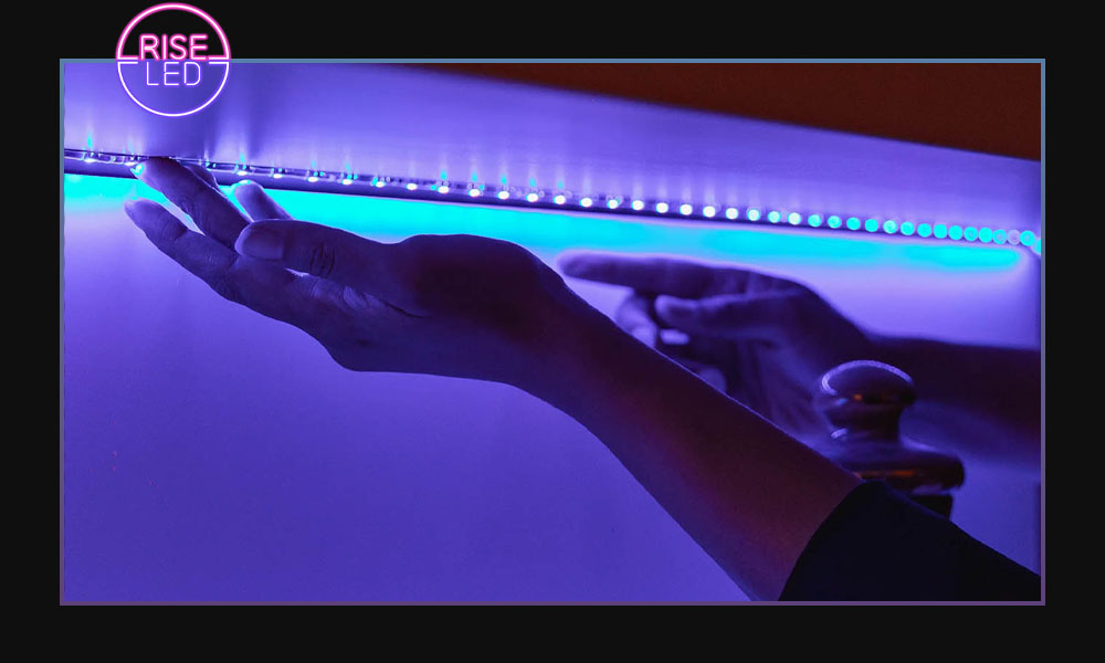 ریسه از کجا بخرم